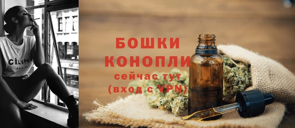 дживик Горняк