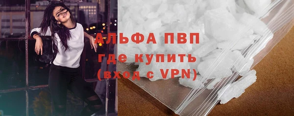 стаф Волосово
