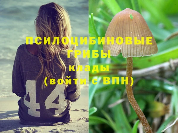 меф Вяземский