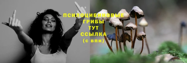 стаф Волосово