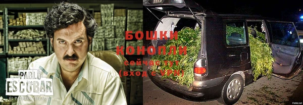 стаф Волосово