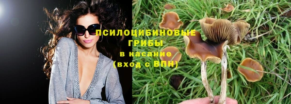 меф Вяземский