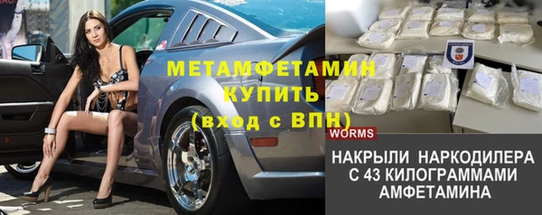 стаф Волосово